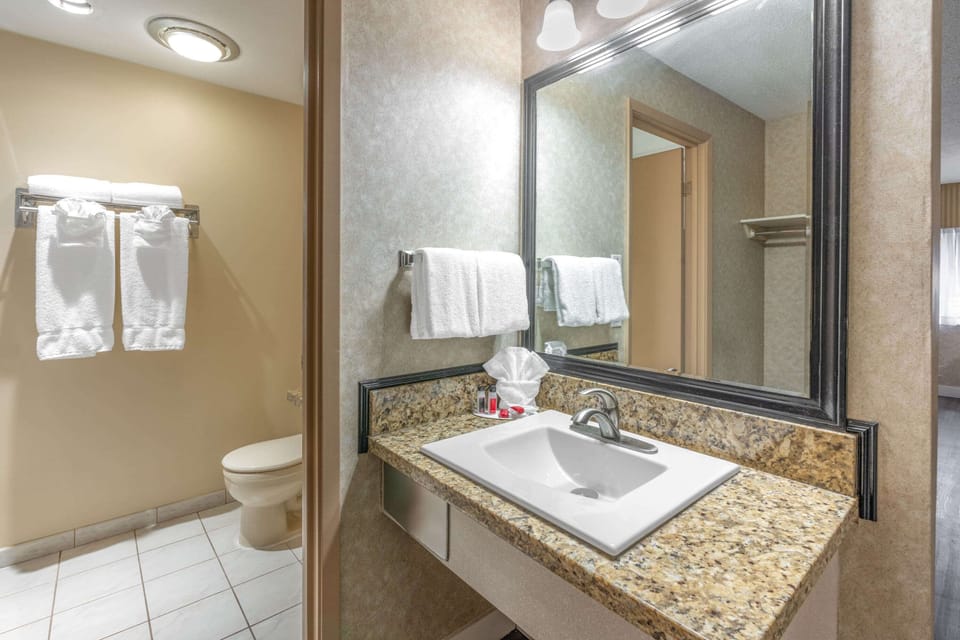 Combined shower/tub, free toiletries, hair dryer, towels