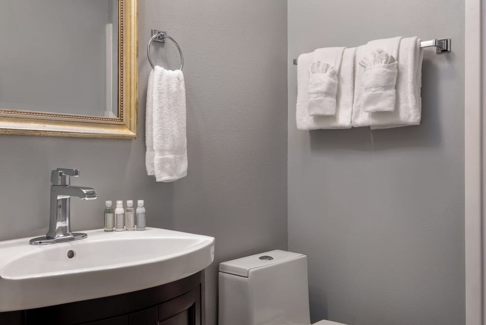 Free toiletries, hair dryer, towels