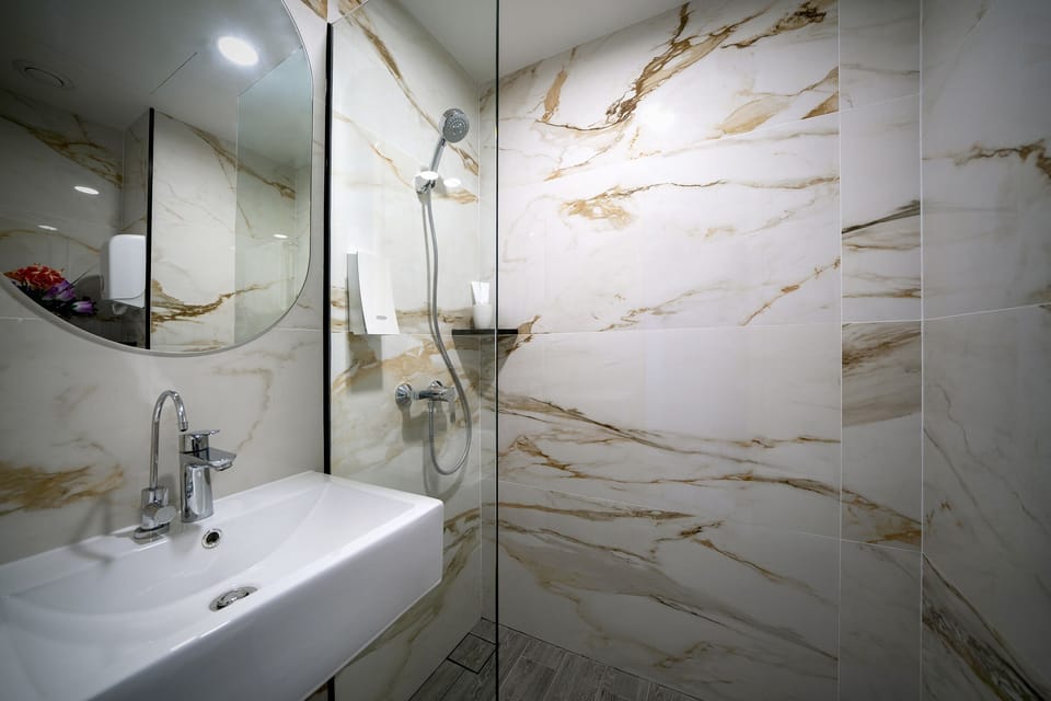 Shower, hair dryer, towels