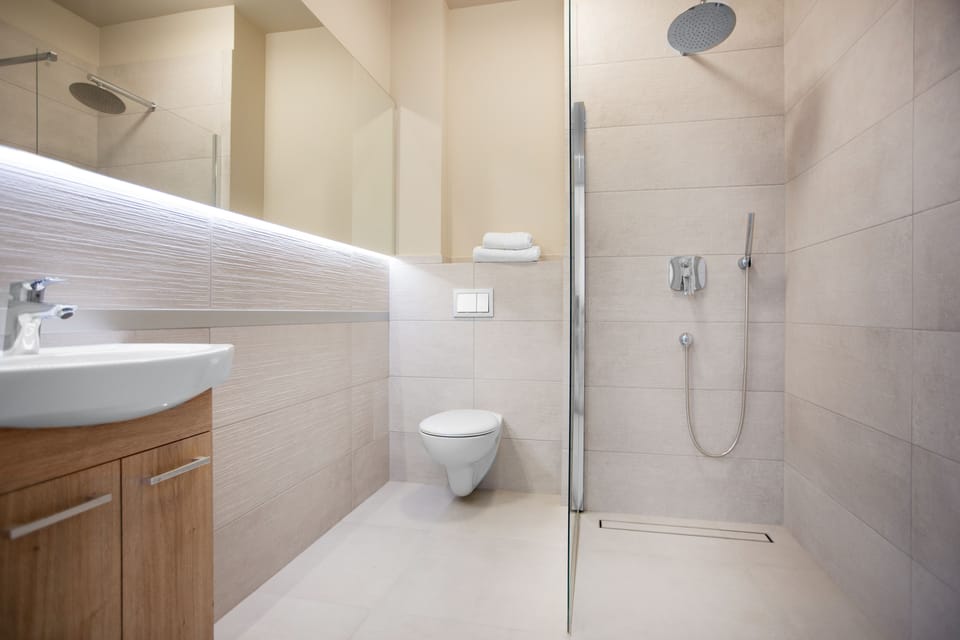 Shower, free toiletries, hair dryer, towels