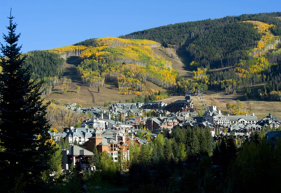 Condo, 1 Bedroom | Skiing