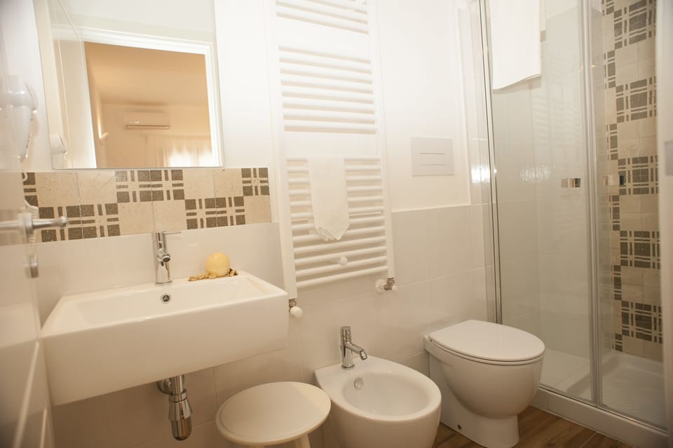 Deluxe Double Room | Bathroom | Shower, free toiletries, hair dryer, bidet