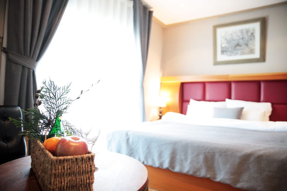 Deluxe Double Room | 1 bedroom, desk, blackout drapes, soundproofing
