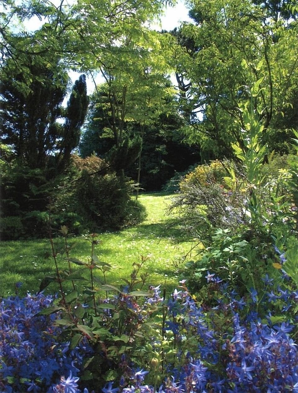 Acre of mature gardens