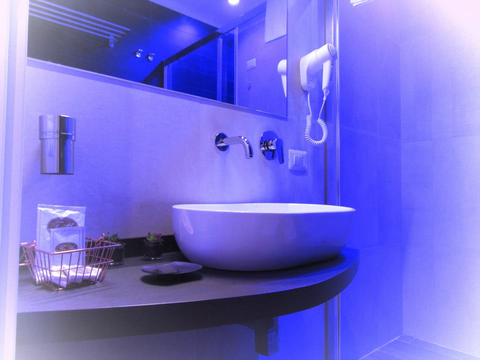 Deluxe Double Room | Bathroom | Shower, free toiletries, hair dryer, bidet