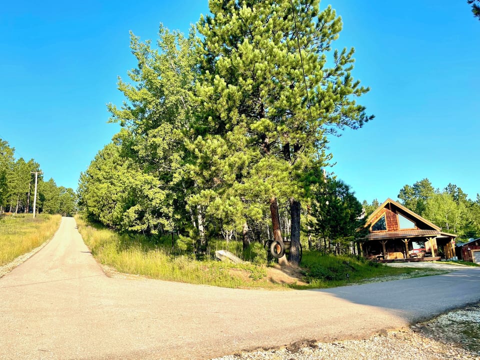 Road and driveway to cabin