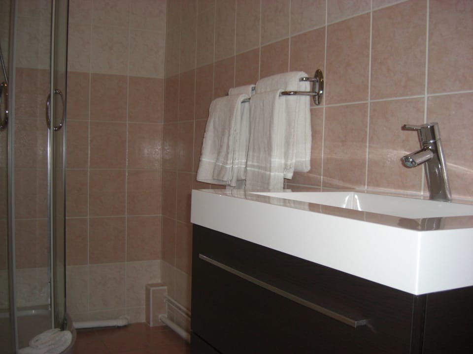 Combined shower/tub, free toiletries, hair dryer, towels