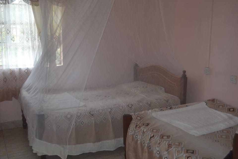 Standard Twin Room | Desk, free WiFi