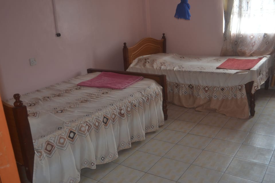 Standard Twin Room | Desk, free WiFi