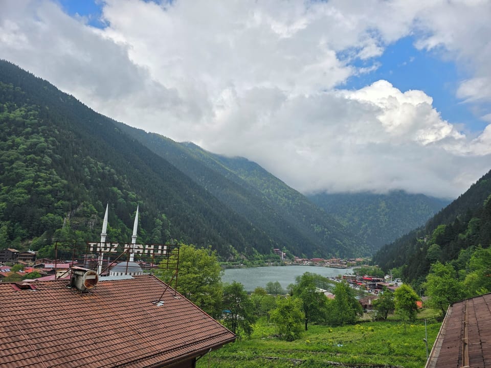 Deluxe Suite, Mountain View | View from room
