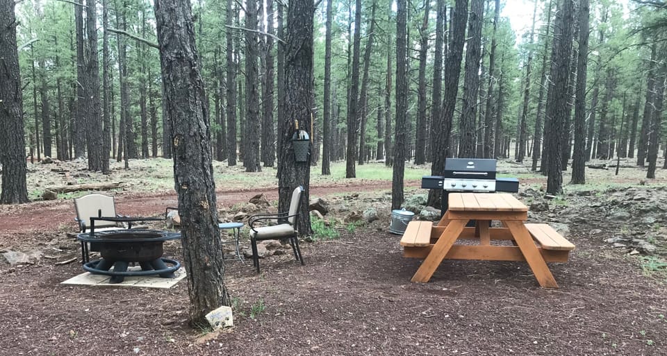 Outdoor, raised area with BBQ, Picnic Table, Fire Pit
