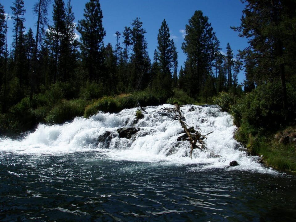 Pringle falls