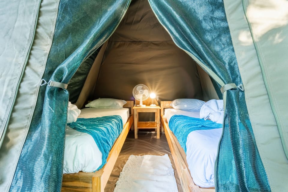 Dome Tent | Free WiFi