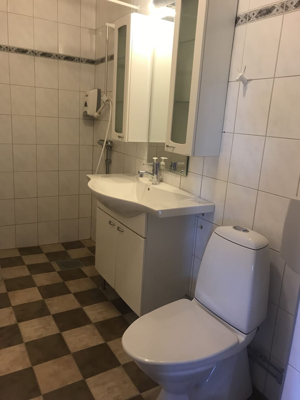 Shower, hair dryer (on request), towels