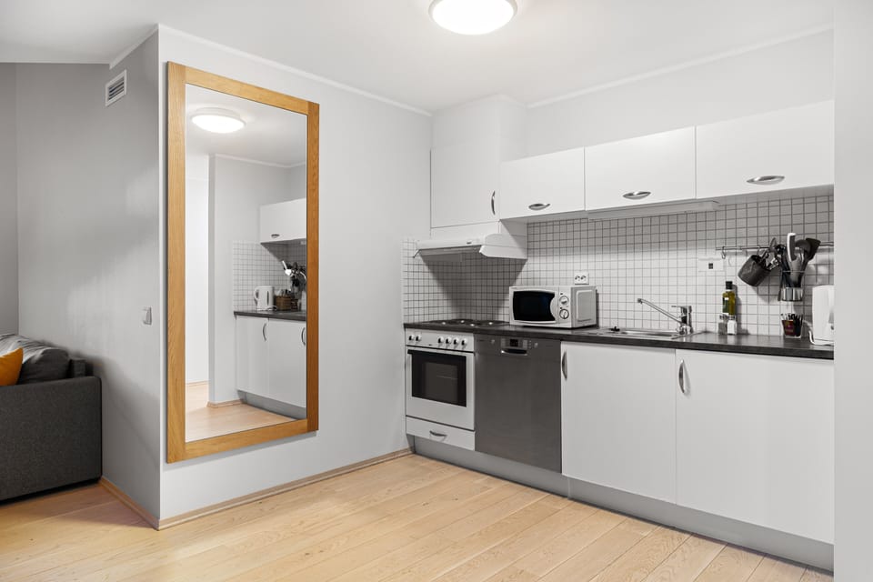 Deluxe Apartment, 1 Bedroom, Bathtub, City View | Private kitchen | Coffee/tea maker, fridge, microwave (on request), electric kettle