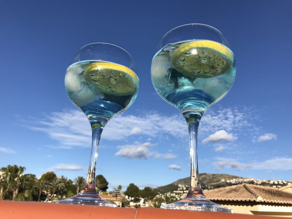 Your small G&Ts by the pool with your own lemons