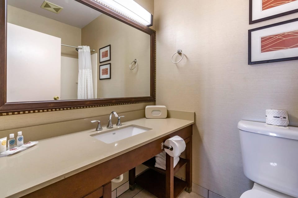 Comfort Inn & Suites Seattle North Hotel in Seattle