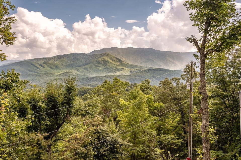  A view of Mt. Leconte.  Amazing!