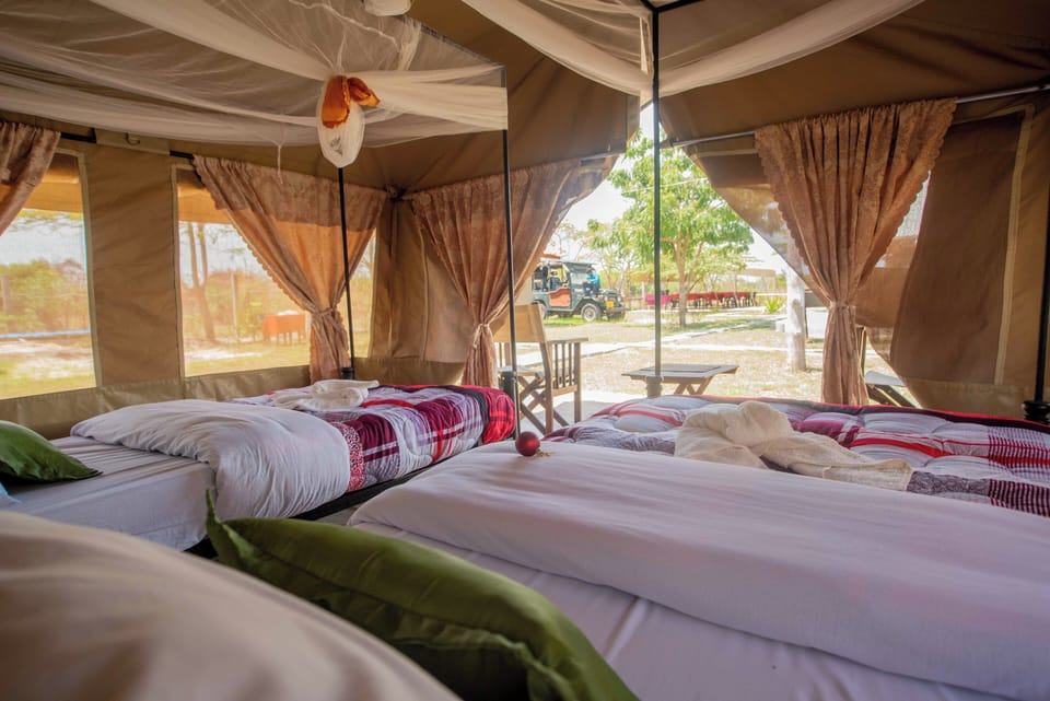 Twin Tents | Individually decorated, individually furnished, desk, blackout drapes