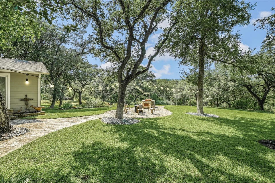 Back Yard 2