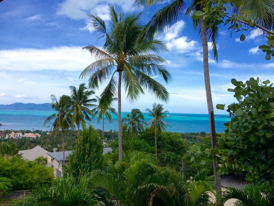 Sea view 