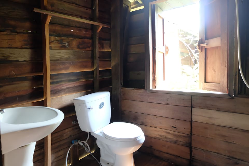 Standard Double Room | Bathroom | Shower, free toiletries, towels