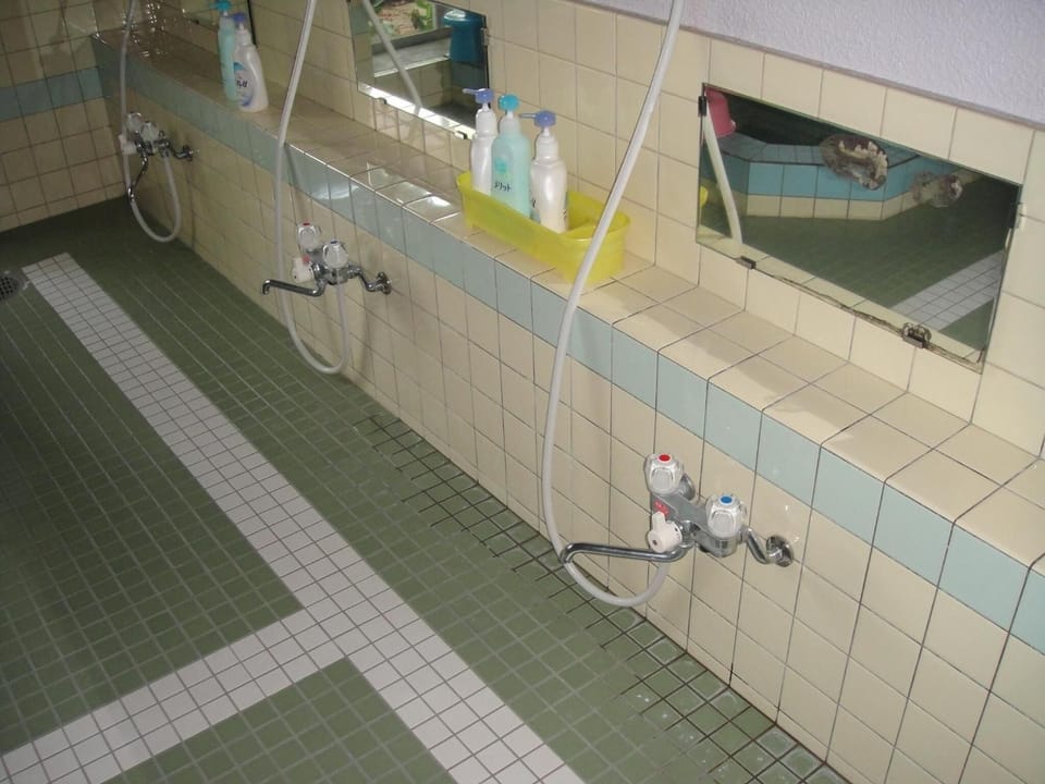 Separate tub and shower, free toiletries, hair dryer, slippers