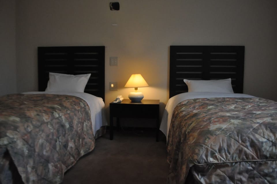 In-room safe, desk, iron/ironing board, free WiFi