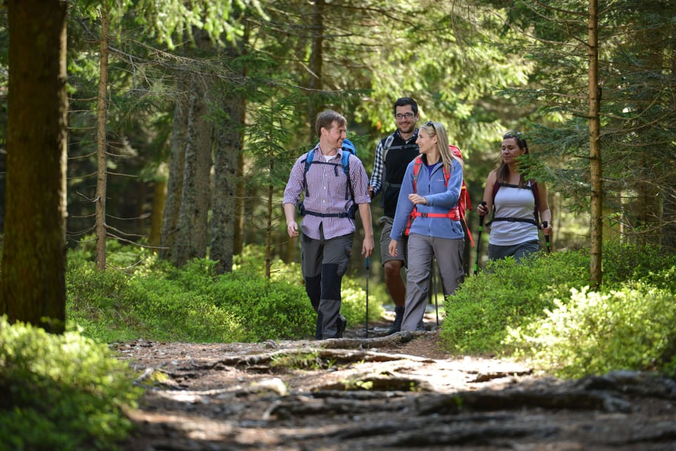 Hiking