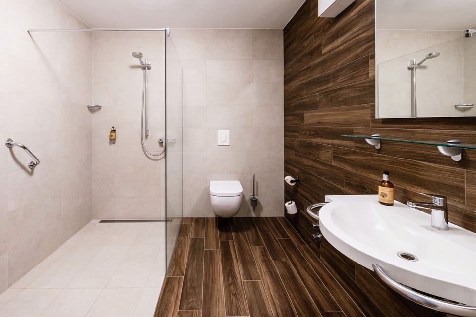 Shower, free toiletries, hair dryer, towels