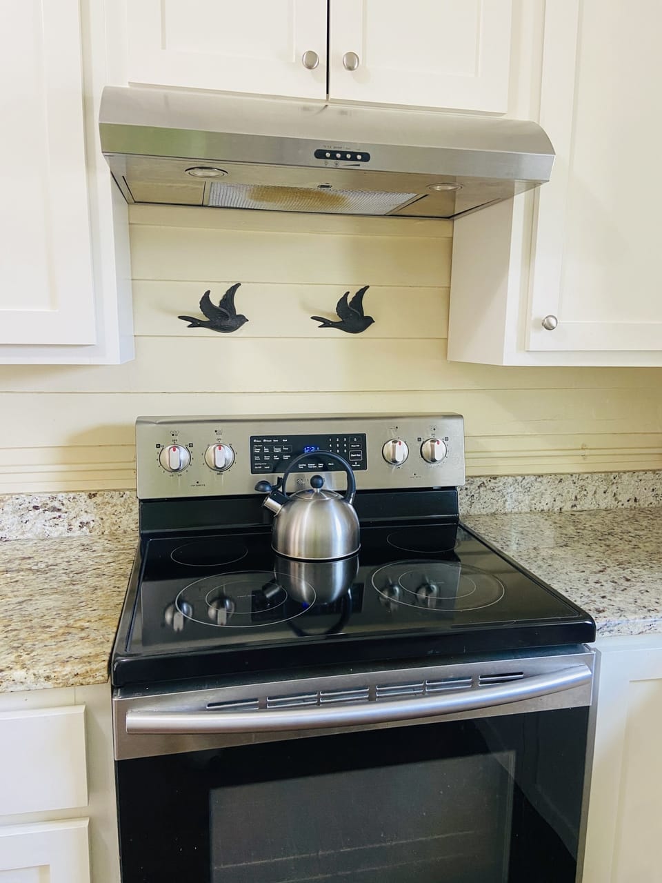 Microwave, coffee/tea maker, ice maker, paper towels