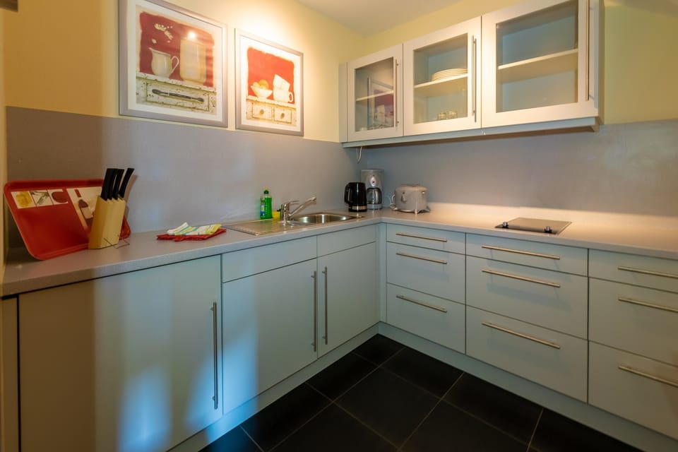Apartment, 1 Queen Bed | Hypo-allergenic bedding, desk, laptop workspace, free WiFi