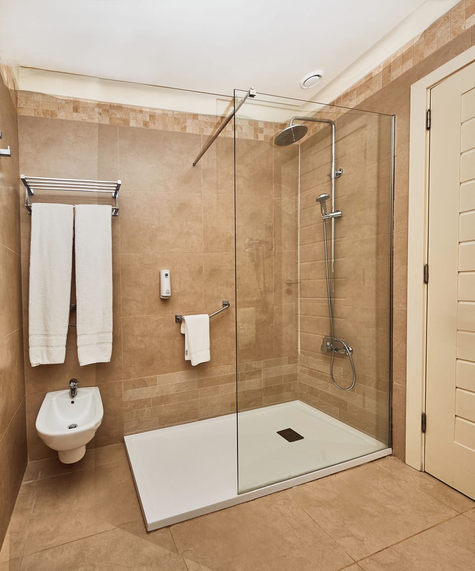 Shower, free toiletries, hair dryer, bidet
