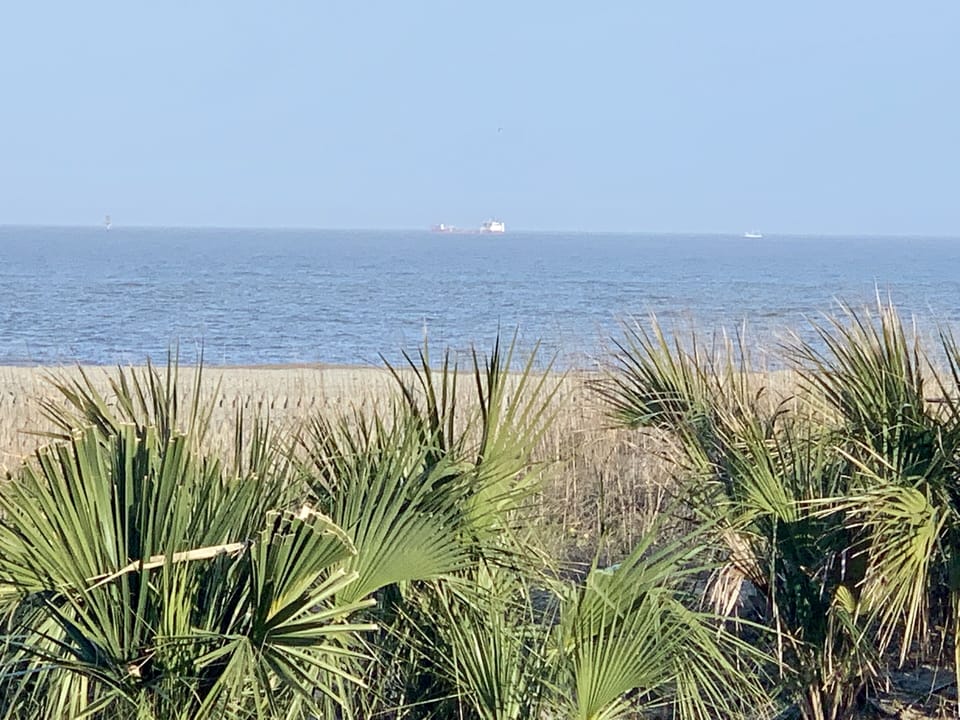 Sit on the balcony and watch many ships go by! So beautiful and peaceful!