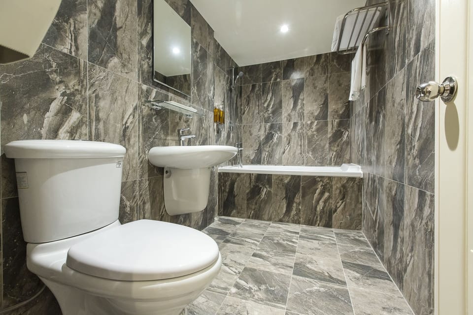 Business Double Room, 1 Queen Bed | Desk, soundproofing, free WiFi, bed sheets