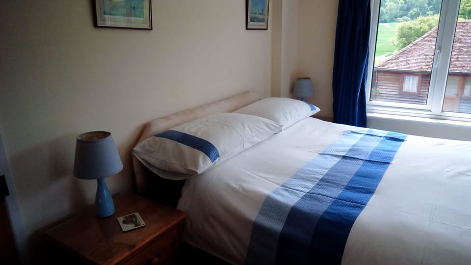 Double Room | Iron/ironing board, free cribs/infant beds, free WiFi, bed sheets