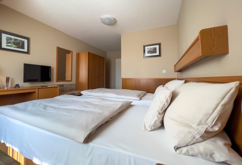Classic Double Room | Hypo-allergenic bedding, desk, iron/ironing board, bed sheets