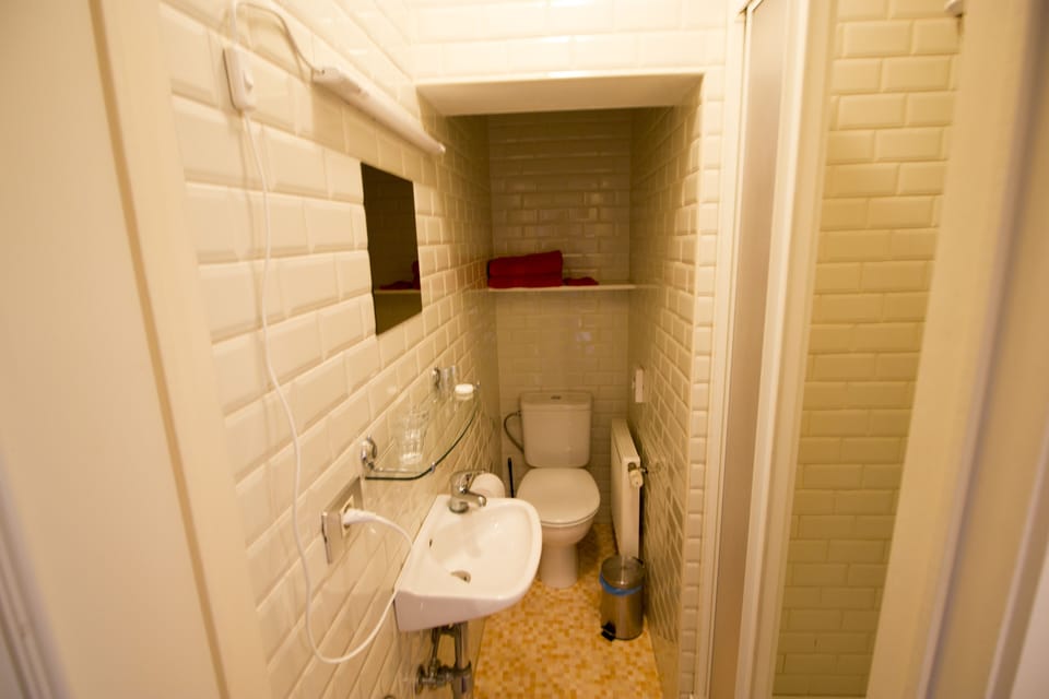Classic Double Room (vermillon) | Bathroom | Shower, free toiletries, hair dryer, towels
