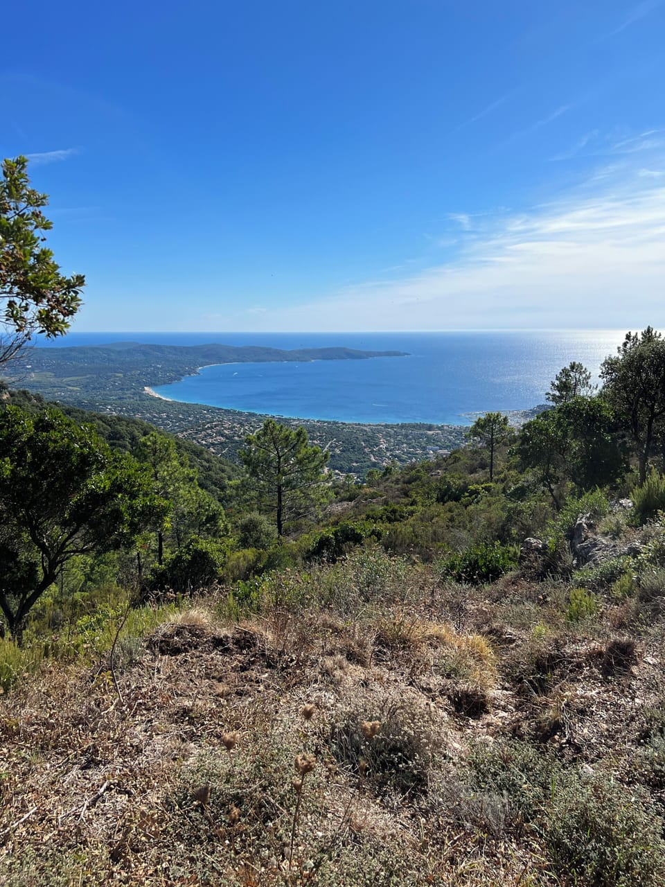 Hiking