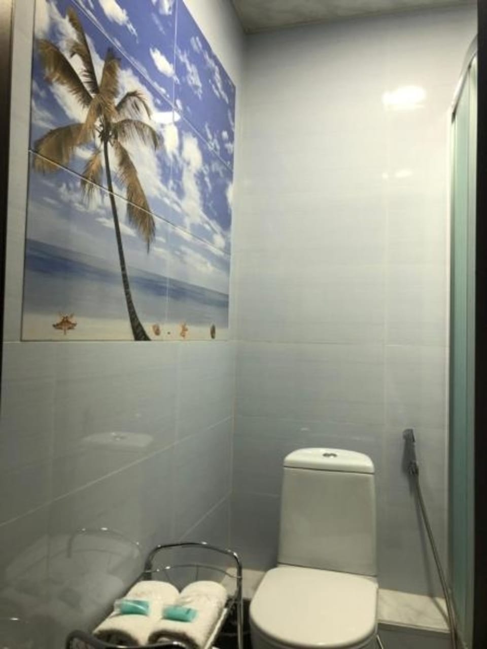 Shower, free toiletries, hair dryer, bathrobes