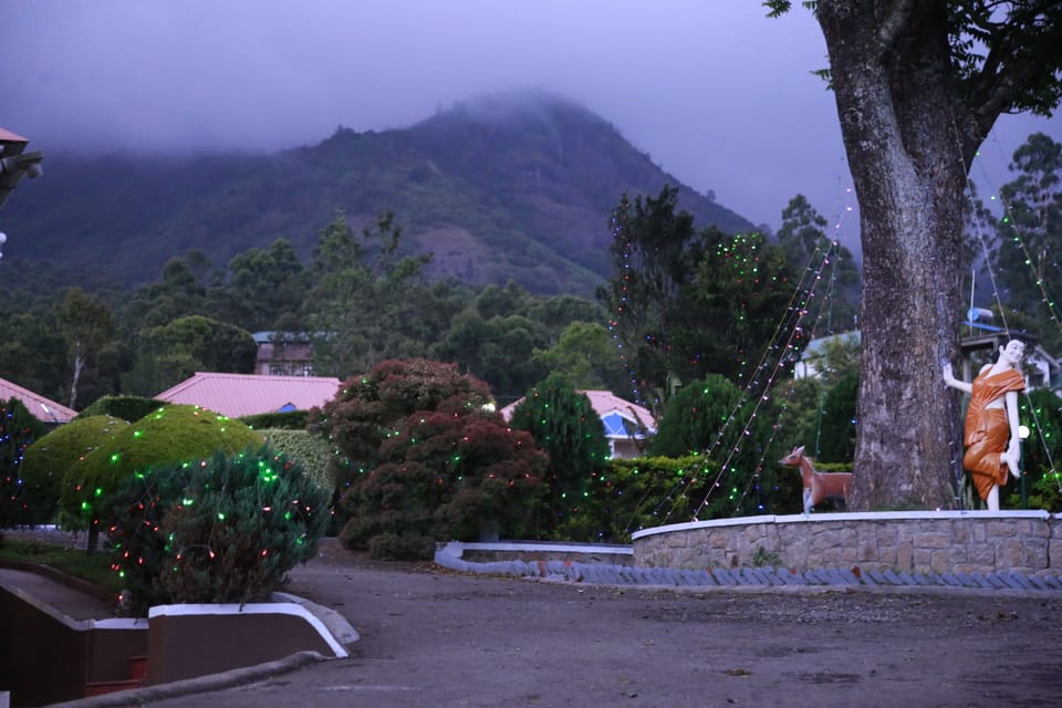 Mountain view