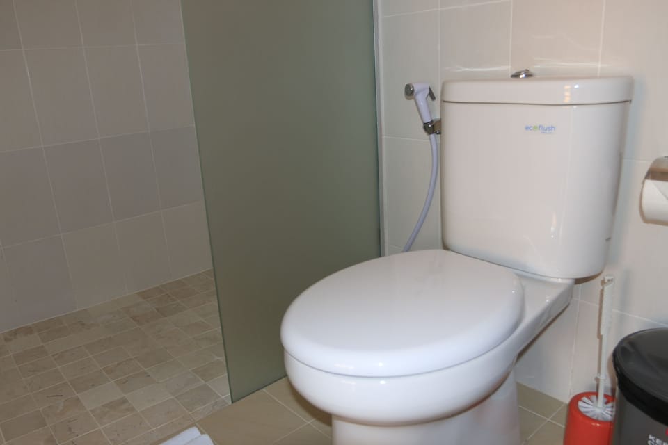 Shower, free toiletries, towels