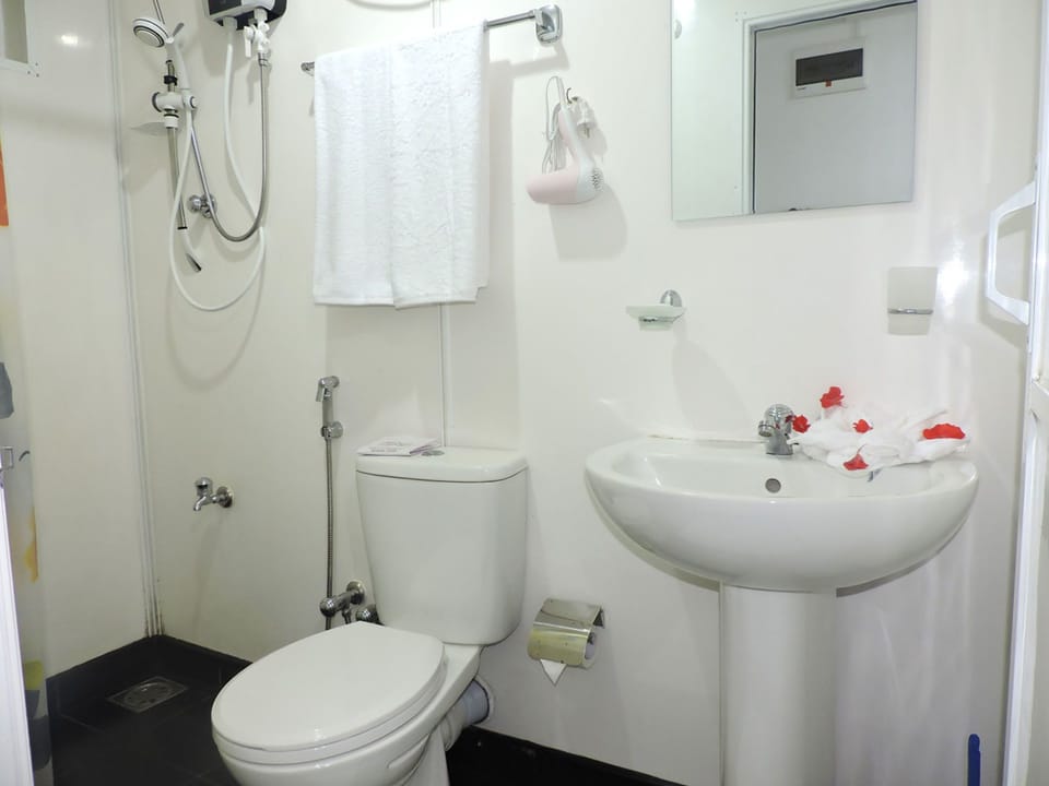 Shower, free toiletries, hair dryer, bidet