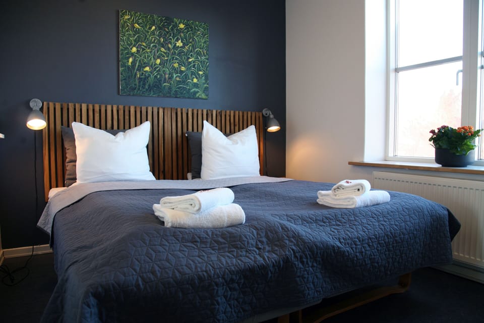 Deluxe Double Room | Laptop workspace, soundproofing, iron/ironing board, free WiFi