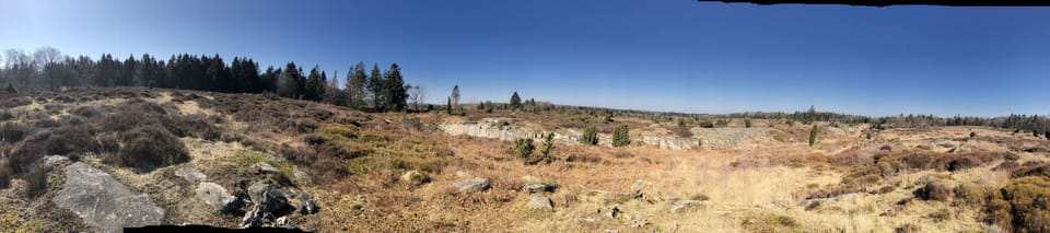 Hiking