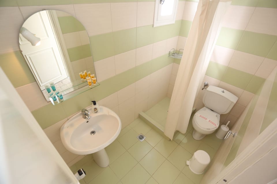 Shower, free toiletries, hair dryer, bidet