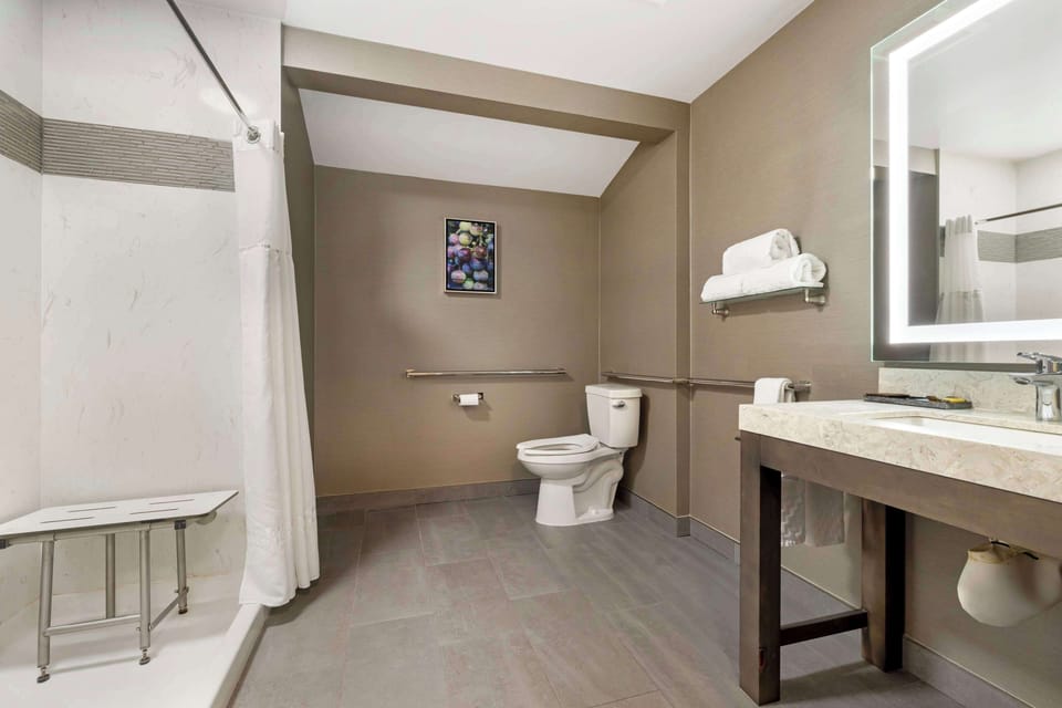 Suite, 1 King Bed, Accessible, Non Smoking (Walk-in Shower;with Sofabed) | Bathroom | Deep soaking tub, free toiletries, hair dryer, towels