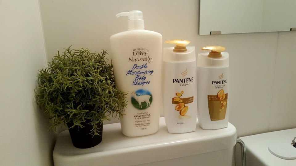 Hair dryer, slippers, towels, shampoo