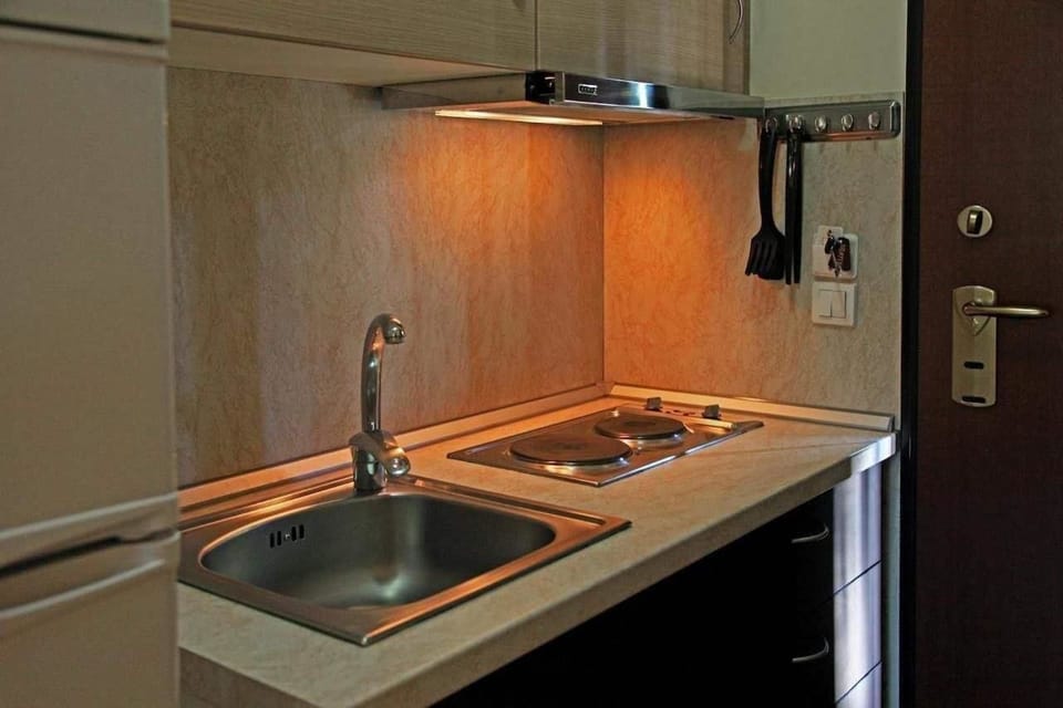 Apartment, 1 Bedroom | Private kitchenette | Fridge, microwave, oven, stovetop