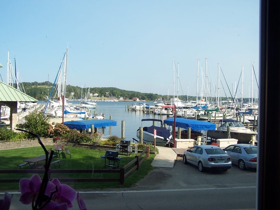 Front patio view of the marina in the summer